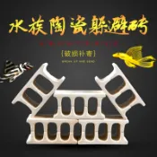 大雙孔【慢慢魚】白色力量=異型繁殖專用白磚 空心磚 小白宮 異形甕 短鯛 鼠魚 躲藏 裝飾 水族
