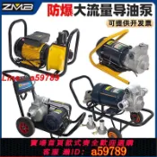 集品臺 【店長推薦 可打統編】電動抽油泵220v防爆導油卸油泵大流量柴油汽油加油機油罐車卸車泵
