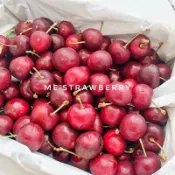 ［ME’進口優質水果］高山櫻桃🍒夏季櫻桃產季開始🔥華盛頓·櫻桃Cherry｜1、2公斤櫻桃禮盒｜8、8.5、9、9.5R