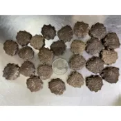 大果木鱉果種子買20送3