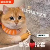 台灣出貨 貓咪比耶手套 高彈力手指套 逗猫 撸猫 塑胶手套 撸猫神器 逗猫神器 硅膠小手套 比耶中指 迷你剪刀手