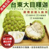 【金好迦】嚴選台東大目釋迦x2箱 (A級果10~11顆/10斤) 台東綠寶石 產地直送
