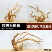 天然杜鵑根精品棲根沉木樹枝魚缸造景微景觀素材小棲