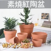 《台灣現貨》素燒紅陶盆(大尺寸） 國際盆 尺寸齊全 標準盆 矮盆紅陶盆 陶皿 紅陶花盆 陶土盆 紅瓦盆 素陶盆