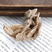 Desert Rose 內蒙產地  沙漠玫瑰石 石膏 天然礦石 原礦