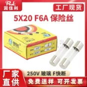 阿嫲的百寶屋 廠家直供 5x20mm玻璃保險管 250V F6A 5*20mm 快熔斷電源保險絲{鑫弘-工葉電器}可開發票