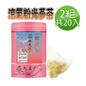 蔘大王 涼氣粉光蔘茶包X2組（5gX10入/組）花旗蔘茶 西洋蔘茶 巴參茶 養生補氣茶