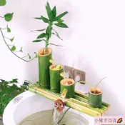 優品竹子流水擺件魚缸過濾器循環系統 魚缸流水器增氧加溼造景 生态缸古法养鱼循环水流水 鱼缸造景装饰摆件 魚池出水口過濾器