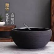 陶瓷魚缸養金魚盆烏龜缸睡蓮碗蓮缸荷花盆客廳擺件創意復古風水缸
