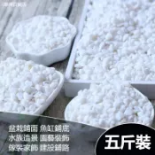 ##臺灣爆款## 白石子白色小石頭多肉盆栽鋪面鵝卵石雨花石魚缸庭院裝飾小石子
