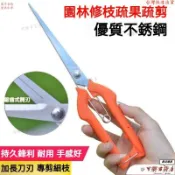 修枝剪 檳榔剪刀 樹枝剪農用剪刀 果樹剪 摘果剪 採果剪刀 花剪 嫁接小剪刀 果剪 果蔬剪 疏花剪 剪枝剪刀 園藝剪