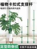 樂購優品百貨 植物龜背竹支撐桿固定支架花卉金錢樹天堂鳥支撐桿植物防倒伏支架
