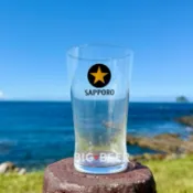 *台北現貨* 黑星薄型320ml 啤酒杯 Sapporo 三寶樂 東洋佐佐木 日本啤酒杯 酒杯 調酒杯 聞香杯 水杯