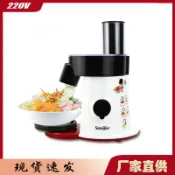 東升精品館 跨境新款多功能全自動沙拉機奶酪蔬菜切片切絲機 5 Salad Maker