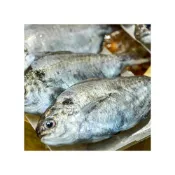 (店+)【海肉王超市】嚴選野生肉魚(4-6尾/約480g/包) 肉鯽仔