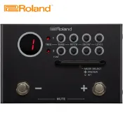 (店+)【ROLAND 樂蘭】TM-1 拾音音源器(原廠公司貨 商品保固有保障)