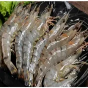 【鮮味】50008-7大草蝦8尾 450克大包裝 飯店都用這款首選美味👍.