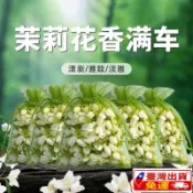✨臺灣出貨24h✨茉莉花香氛袋 茉莉花香囊 車載香薰 乾花香包 花香包 衣櫃芳香 芳香包 衣物香氛袋 香包吊飾 衣櫃香【