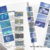 良梧【現貨速發】碎光拾影 Infeel.me PET閃砂索引貼膠帶 35mm手賬拼貼裝飾貼畫 PET貼紙 煙火蒲公英貼紙