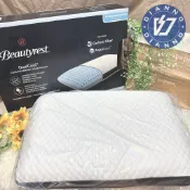 免運現貨 帝安諾 實體店面 席夢思 Beautyrest 國外限定 好市多 涼感記憶枕 枕頭 柔軟 舒適 降溫 碳纖維