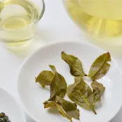 四季春冬片茶-2025限量冬茶!台灣南投高品質鮮採清香烏龍