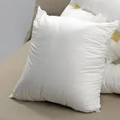 【LITA 麗塔寢飾】抱枕枕心40*40CM 一入(枕心/抱枕心)