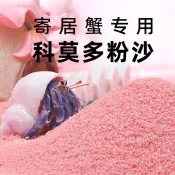 🎆造景底砂🎆 菲律賓貝殼專用沙細沙珊瑚魚缸裝飾造景海缸三湖鯛魚寄居蟹底沙