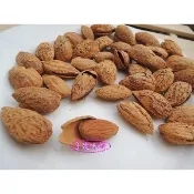 鄭美香 帶殼杏仁果(鹹酥) 另有開心果、瓜子、各種堅果..(( 3000克量販包超取限1包 ))