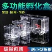 💥限量百件💥魚缸專用隔離孵化器孔雀魚繁殖盒家用小魚苗亞克力懸浮式下崽母魚