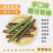 🌰菜丁🌰 多口味草棒 2入裝 倉鼠磨牙零食 牧草草棒 苜蓿草 提摩西草 黑麥草 燕麥草 草棒 倉鼠 黃金鼠 兔子 天竺鼠