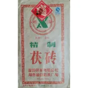 [洪聲普洱茶二號店] 清倉 !   陳期19年 黑茶 茯茶 湘益 2007 900g 精制茯磚