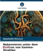 【三民網路書店】Nebennieren unter dem Einfluss von Gamma-Strahlen 作者：Abdelhafid Mimouni