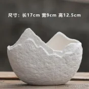 銅錢草水培花盆陶瓷無孔創意金錢草水養植物器皿家居創意碗蓮碗蓮