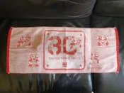 任天堂 瑪莉歐 30週年紀念毛巾 未使用