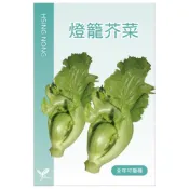 (店+)【天橙種子】燈籠芥菜種子 刈菜 約3公克 全年可播種 葉菜類種子 興農種苗 家庭園藝 彩色原包裝