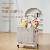 挑戰最低價買菜車小拉車野餐小推車便攜購物車家用摺疊拉桿車拉貨取快遞神器限定