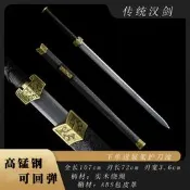 【精品收藏】龍泉劍寶石四獸漢劍花紋鋼壹體刀劍刀具防身冷兵器未開刃鍛鐵流雲
