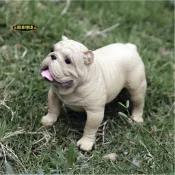 （3款高品質畫工肌肉表現） 沙皮狗 肉嘴 鬥牛犬 狗狗 小狗 仿真 動物模型 野生動物 兒童玩具 益智 公仔 SPG