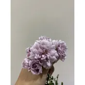 茱兒玫瑰花園 藍雨 藍色陰雨 Rainy Blue紫色藤本玫瑰花月季 小苗 盆栽