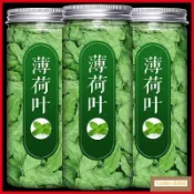桃園出貨 免運💖健康 ✅ 熱賣 ✅ 薄荷葉幹可食用咀嚼泡水新鮮口嚼幹嚼薄荷茶罐裝博荷葉新鮮貨【】
