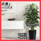 😇宅配免運費😇超擬真假樹 巴西鐵樹 假植物 仿真假樹 白色高盆整組假樹 仿真巴西木落地盆栽 人造樹 仿真樹巴西木
