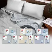 【3M】新一代純棉防蹣床包枕套組-雙人+雙人涼被四件組(北歐藍/奶油米/清水灰)