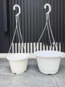 【全館490超取免運】6寸(18cm)白吊盆（含吊繩）適懸藤植物 常春藤 百萬心 黃金葛 綠之鈴 山蘇 腎蕨【蒔花弄草】