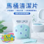 💥台灣出貨💥清香款潔廁靈搭配潔廁淨 潔廁劑一整套潔具用品 除日常清潔馬桶汙跡 還可去除殘留異味 抑制細菌滋生