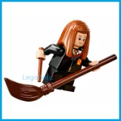 LEGO 樂高 76389  金妮 衛斯理 含掃帚 含魔杖 全新品, ( 消失的密室 哈利波特 妙麗 )