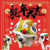 新年舞龍舞獅狗狗衣服 亮片寵物服飾 拜年過年唐裝 狗狗變裝貓狗衣服 中小型犬