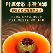 🧧清倉大特賣｜小青柑單顆販售 19元一顆｜產地直發/庫存出清｜新鮮陳皮與普洱的完美融合 茶葉大批發-新會小青柑 單顆販售