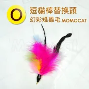 現貨【逗貓棒替換頭O幻彩雉雞毛】珠鍊固定適用超輕彈力釣竿/軟Q彈力大鳥/不銹鋼絲彈力逗貓棒【MOMOCAT摸摸貓】E29