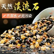 🔥免運🔥天然溪流石魚缸專用鵝卵石小石頭原生溪流底砂裝飾造景花盆鋪面石