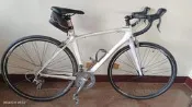 出清-捷安特全碳纖車GIANT/LIV Aimez Composite 1 [Shimano 30速]TCR女版非adv
